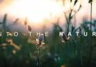 Into The Nature